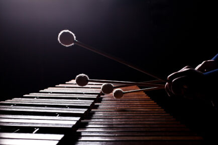 The hands of a musician playing the marimba in dark tones closeup